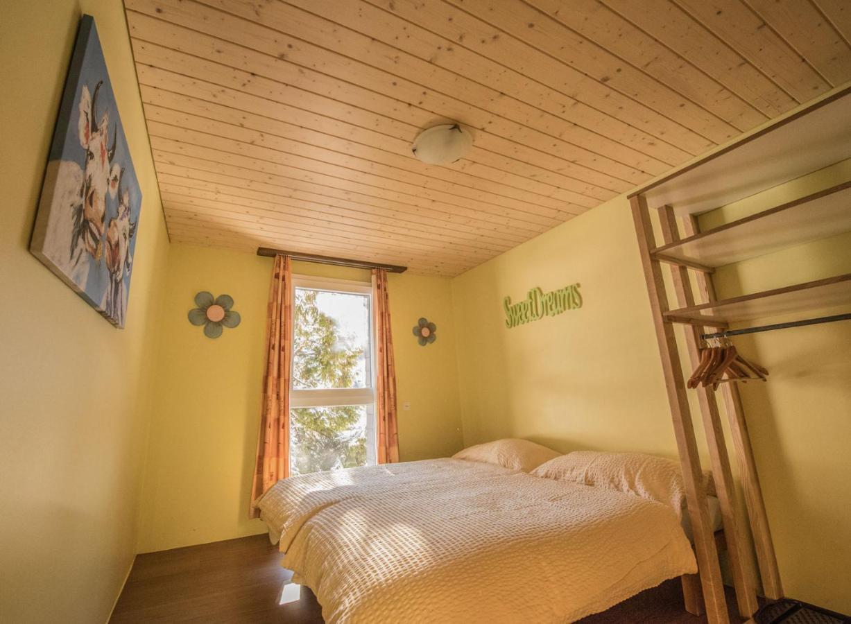 Schutzenbach Backpackers For Adults 18-35 Vandrehjem Lauterbrunnen Eksteriør billede