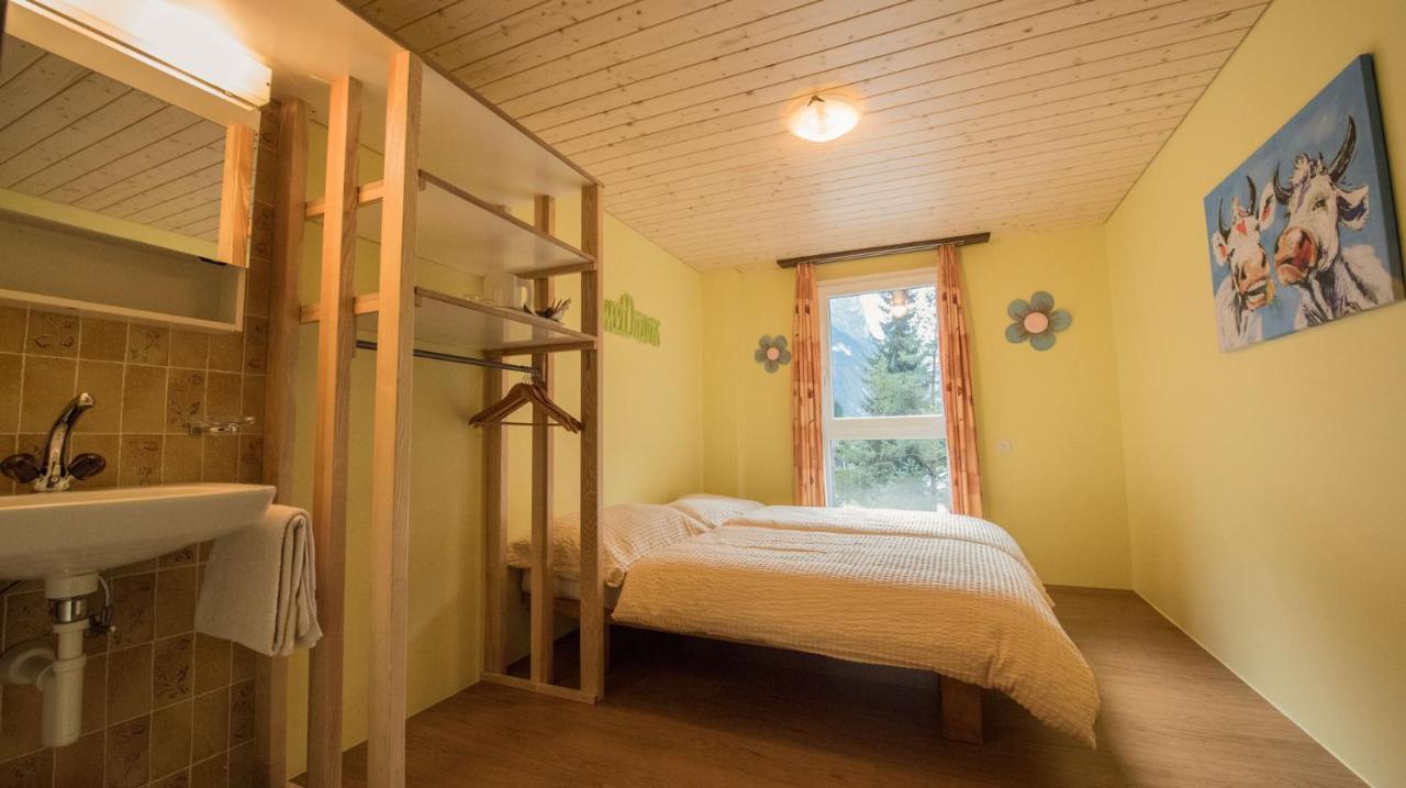 Schutzenbach Backpackers For Adults 18-35 Vandrehjem Lauterbrunnen Eksteriør billede