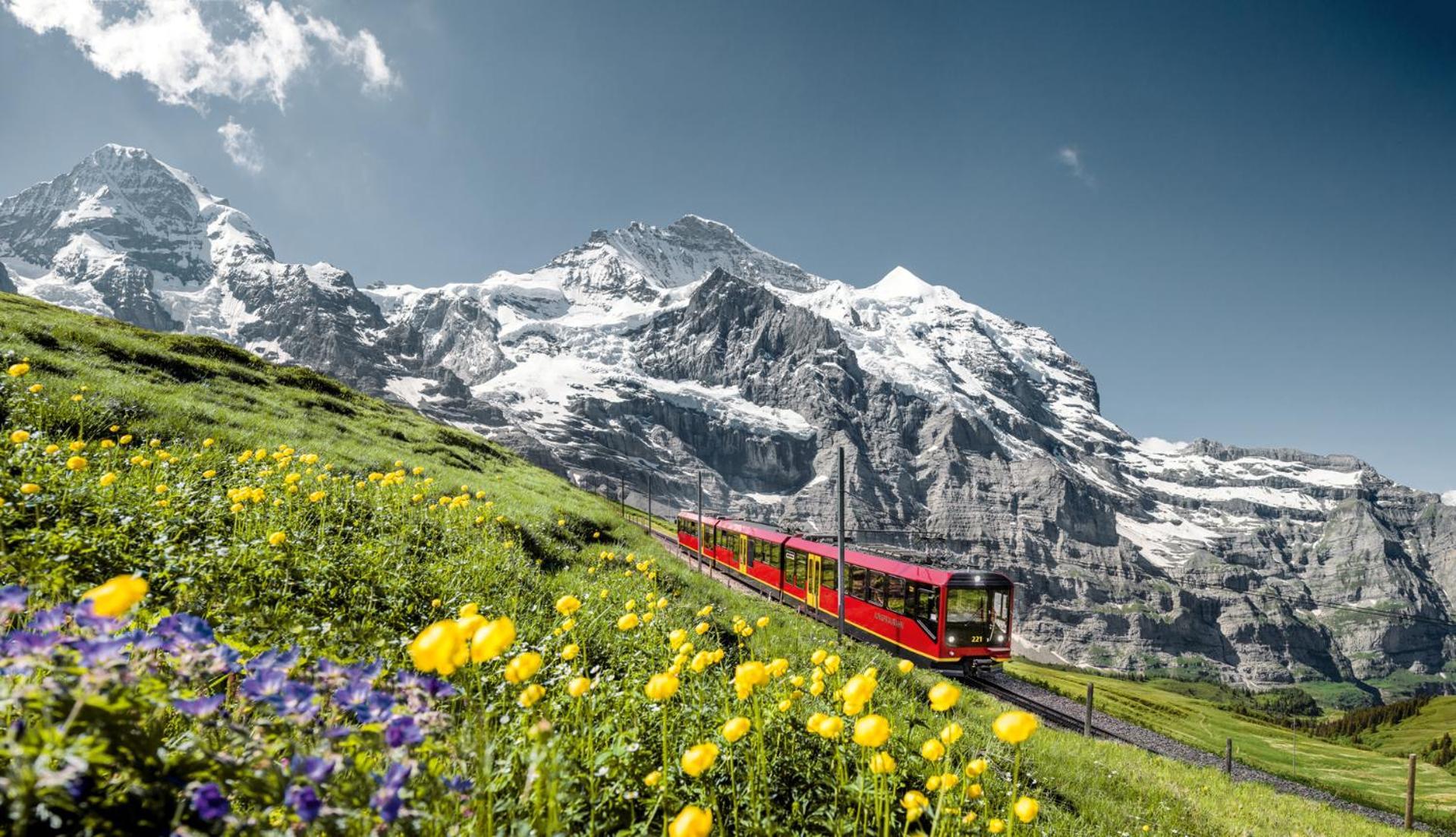 Schutzenbach Backpackers For Adults 18-35 Vandrehjem Lauterbrunnen Eksteriør billede